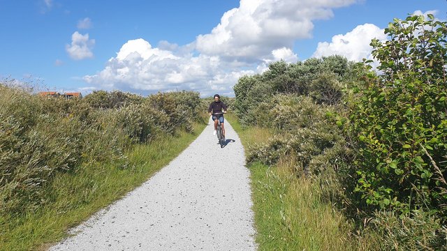 Radweg durch die Dünenlandschaft von Terschelling