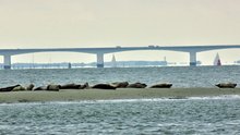 Oosterschelde