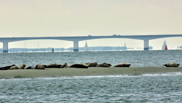 Oosterschelde