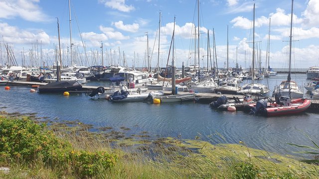 Yachthafen von Terschelling