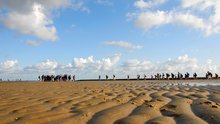 Das Wattenmeer und seine Besucher:innen
