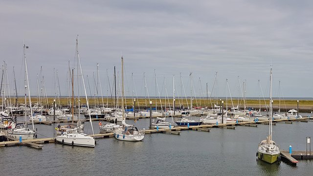 Oudeschild Yachthafen Hafenbecken